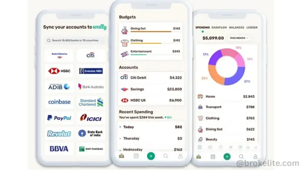 Wally budgeting app interface for college students